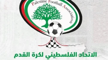 أزمة في الملاعب.. الاحتلال يمنع دخول شحنة العشب الصناعي الصينية لفلسطين